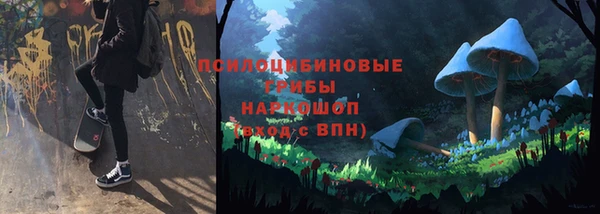 mdma Богданович