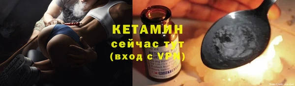 a pvp Бородино
