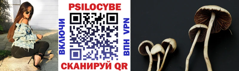 OMG ТОР  Волчанск  Галлюциногенные грибы Psilocybine cubensis 